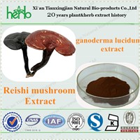 Reishi Mushroom Extract, Ganoderma Lucidum Extract