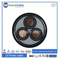 -Low Voltage Steel Tape Armored Power Cable