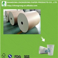 PE Coated Roll Paper for Paper Cups