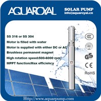 Solar Pumping Systems - Boreholes, Wells, Irrigation DC Solar Well Pumps - 4SP2/5 (ST)