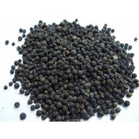 BLACK PEPPER DIRECT SUPPLY (GOOD QUALITY).