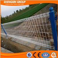 Shengxin Direct Decorative Ornamental Double Loop Fence