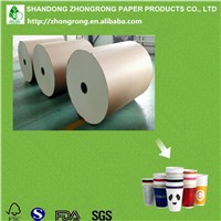 PE Laminated Paper for Paper Cups