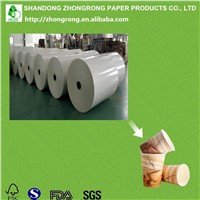 Single Paper for Cup Making