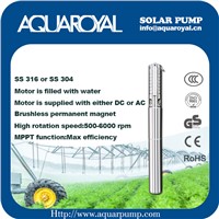 DC Solar Pumps|Permanent Magnet|DC Brushless Motor|Motor Is Filled with Water|Solar Well Pumps-4SP8/3(IT)