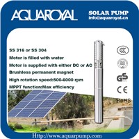 DC Solar Pumps|Permanent Magnet|DC Brushless Motor|Motor Is Filled with Water|Solar Well Pumps-4SP5/8(IT)