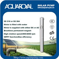 DC Solar Pumps|Permanent Magnet|DC Brushless Motor|Motor Is Filled with Water|Solar Well Pumps-4SP8/5(IT)