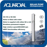 DC Solar Pumps|Permanent Magnet|DC Brushless Motor|Motor Is Filled with Water|Solar Well Pumps-4SP8/7(IT)