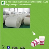 PE Coated Paper for Making Paper Cups