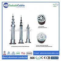 Aluminum Conductor Steel Reinforced Conductor