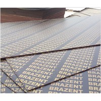 Construction Grade 18mm Film Faced Plywood for Building Usage