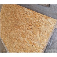Hot Furniture/Construction/Packing Grade OSB with WBP Glue