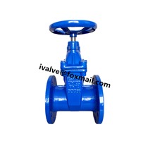 Resilient Seal BS5163 Gate Valve