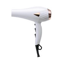 Cool Shot Function High Temperature Professional Hair Dryer