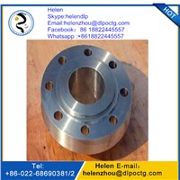 Carbon Steel Flange &amp;amp; Stainless Steel Flange &amp;amp; Alloy Steel Pipe Fitting Forged Flange