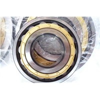 Full Complement Cylindrical Roller Bearing SL18 3018