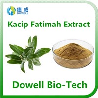 Factory Supply Natural Top Quality Female Kacip Fatimah Extract 5:1,10:1
