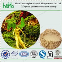 Ginseng Extract with Ginsenoside 80%, 20%