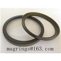 Magnetic ABS Ring for Audi