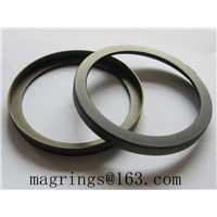 Magnetic Ring ABS Ring for Renault