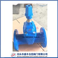 DIN3352 F4 Ductile Iron PN16 GGG50 Reselient Seated Water Sluice Square Nut DN50 Gate Valve