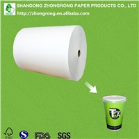 PE Paper for Paper Tea Cup