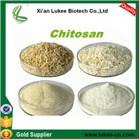 Manufacturer Supply High Quality Food Grade Chitosan DAC 80%~95% for Food Additives & Nutrition Supplement