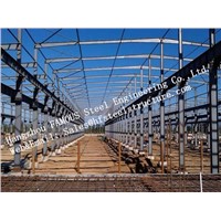 Prefabricated Industrial Single Span Steel Structural Buildings for Warehouse Turnkey Project