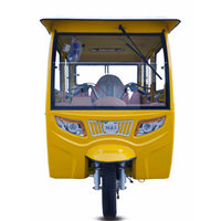 Fully Enclosed Gas Power Bajaj Passenger Tricycle
