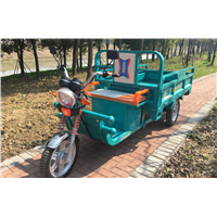 Strong Power 1000W 60V Cargo Tricycle 3 Wheel Electric Bicycle