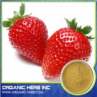 Free Sample Strawberry Extract/Strawberry Red Food Color/Strawberry Flavour Powder Extract