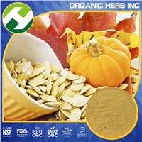 High Quality Natural Pumpkin Seed Extract