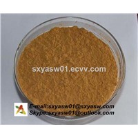 Natural Aspirin to Treat Fever White Willow Bark Extract with Salicin