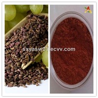 Natural Plant Extract 95% OPC Grape Seed Extract