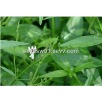 Natural Plant Extract E141 Sodium Copper Chlorophyllin