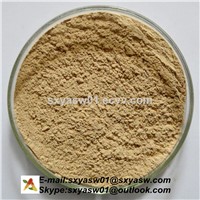 Natural Chlorogenic Acids Anti Aging Green Coffee Bean Extract