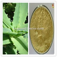 Natural High Quality Aloe Vera Powder