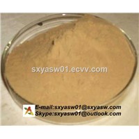 Natural CAS No 15588-68-8 Gynostemma Extract 98% Gypenosides