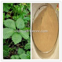 Natural Plant Extract Gynostemma Pentaphylla Extract CAS No 15588-68-8 Gypenosides