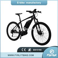 Factory Wholesale Price 250W/350W MID Drive Motor Ebike/Electric Bikes