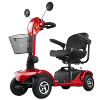 Linix Electric Scooter D103-1 (Four Wheels)