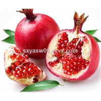 Natural CAS No 476-66-4 Pomegranate Peel Extract 90% 95% Ellagic Acid