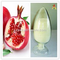 Natural Pomegranate Extract 40% 95% Ellagic Acid