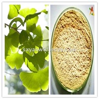 Natural 24% Flavones 6% Lactones Ginkgo Biloba Leaf Extract