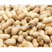 Natural Luteolin Protect Liver Cells Peanut Shell Extract