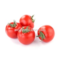 Natural CAS No 502-65-8 Tomato Extract 5%-98% Lycopene