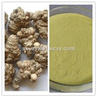 Natural Radix Notoginseng Extract Immune Regulation Sanchinoside