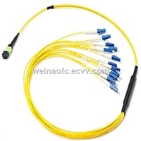 Optical Patch Cord MPO-LC Singlemode 12 Fibers 0.5m