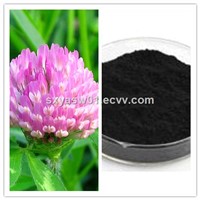 Natural Red Clover Extract 8% 20% 40% 60% Isoflavone
