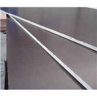 12mm China Cheap Black Finger Joint Film Faced Plywood